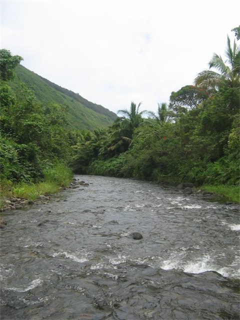 Image-88C11F6545DB11DA.jpg