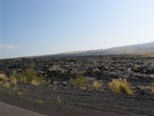 Image-88C4A19645DB11DA.jpg