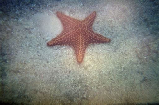 Image-27B8DDC2C18611D8.jpg