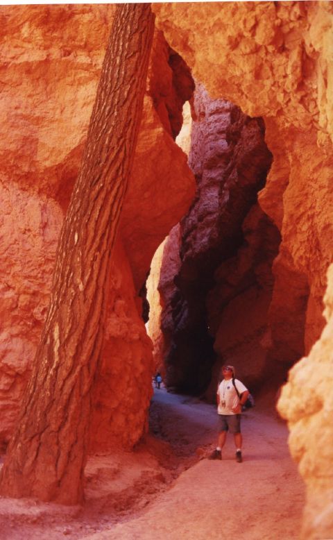 bryce05.jpg